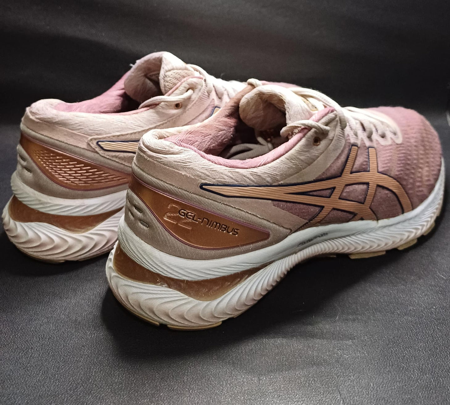 Asics Gel-Nimbus 22