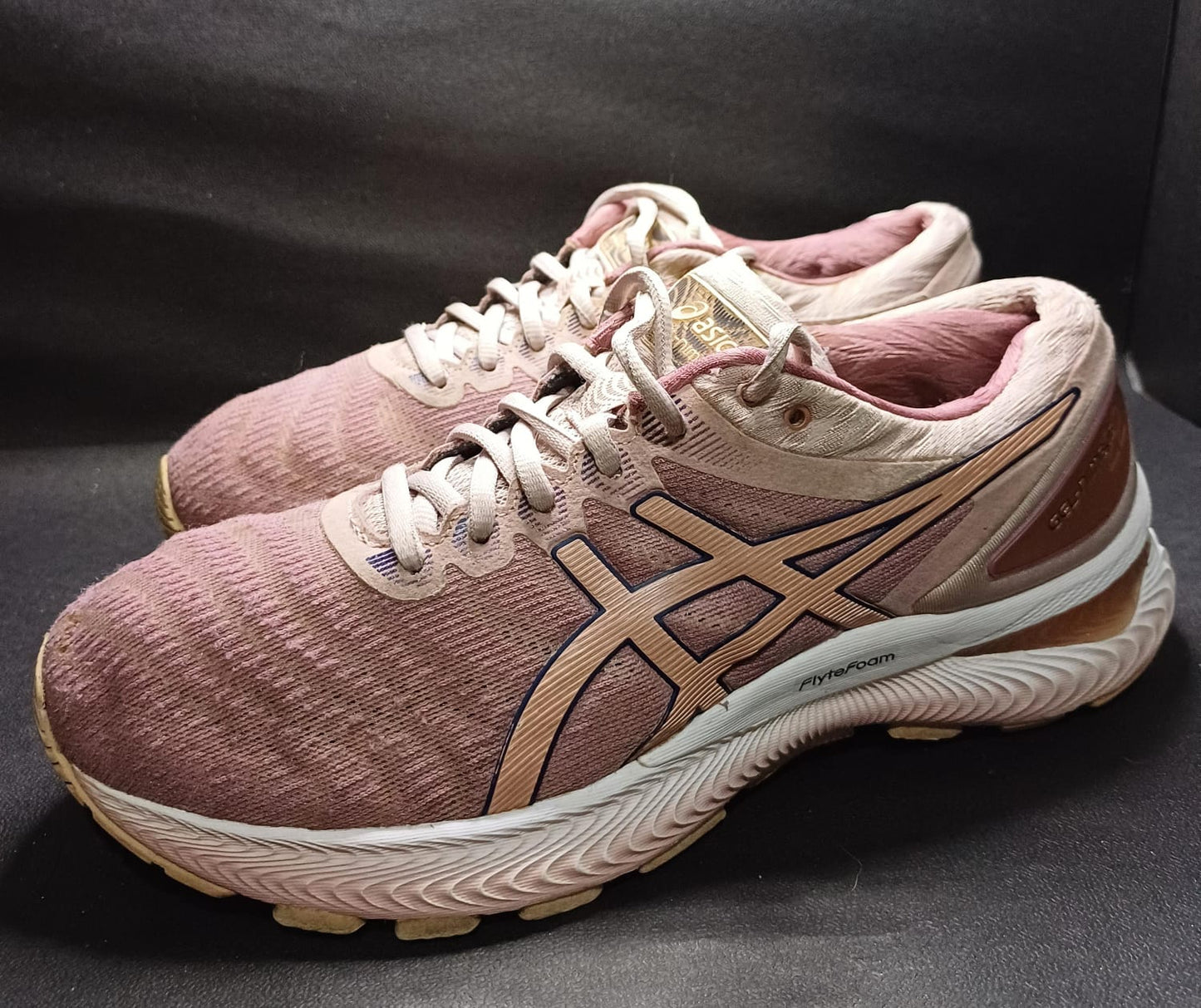 Asics Gel-Nimbus 22